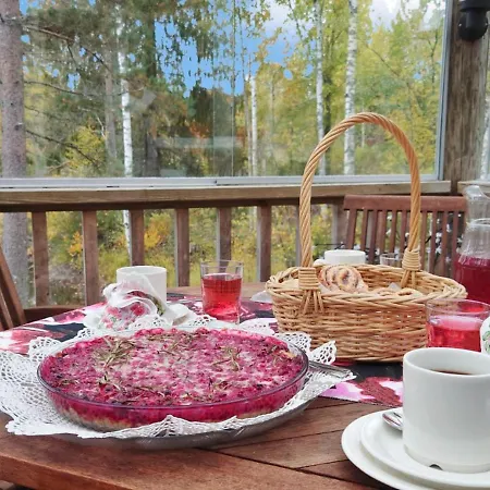 Koskisaari- Vaikon Loma 2 By Interhome Ferienhaus